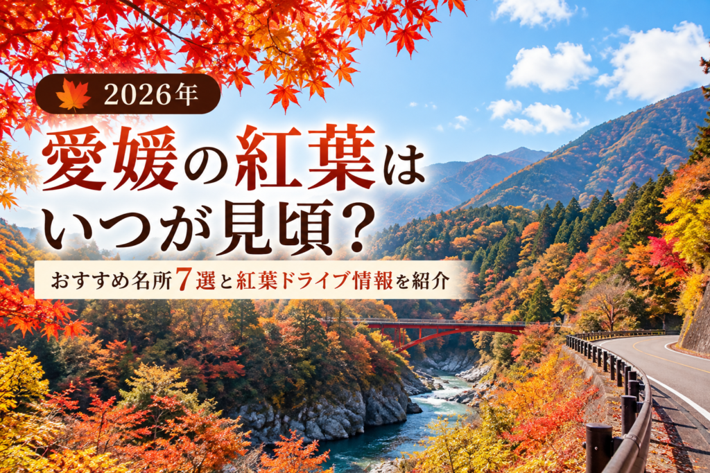 愛媛の紅葉が見頃を迎えた秋の山々の風景